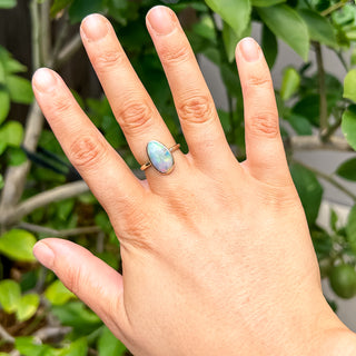Australian Fossilized Shell Ring in Yellow Gold by World Treasure Designs