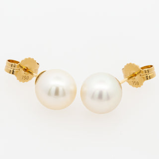 Dainty Australian South Sea Pearl Stud Earrings in Yellow Gold by World Treasure Designs