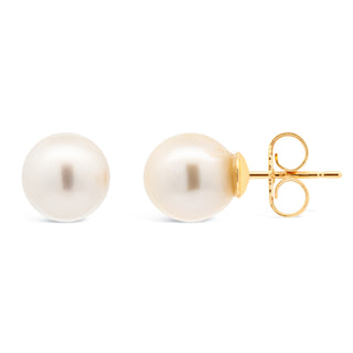 Dainty Australian South Sea Pearl Studs in Yellow Gold by World Treasure Designs
