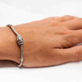 World Treasure Bead with Humpback, Dolphin, and Sea Turtle Compatible with Pandora Bracelet in Sterling Silver by World Treasure Designs