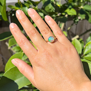 Australian Pippi Shell Fossil Opal Ring in Yellow Gold by World Treasure Designs