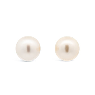 Australian South Sea Pearl Stud Earrings in Yellow Gold by World Treasure Designs