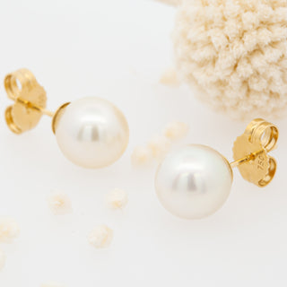 Australian South Sea Pearl Stud Earrings in Yellow Gold by World Treasure Designs