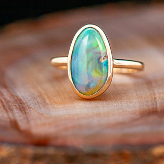 Fossilized Australian Pippi Shell Ring in Yellow Gold by World Treasure Designs
