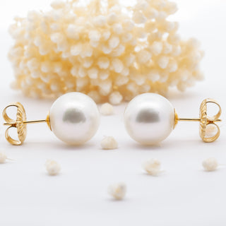 Large Australian Pearl Stud Earrings from the South Sea in Yellow Gold by World Treasure Designs