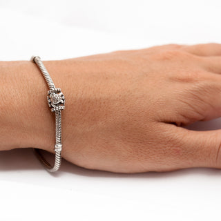 Pandora Bracelet with Sea Turtle Bead in Sterling Silver by World Treasure Designs