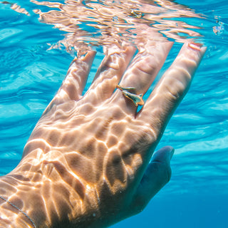 Reef Shark Ring in Yellow Gold by World Treasure Designs