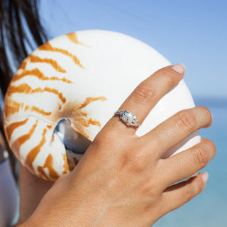 Sea Turtle Ring in Sterling Silver by World Treasure Designs