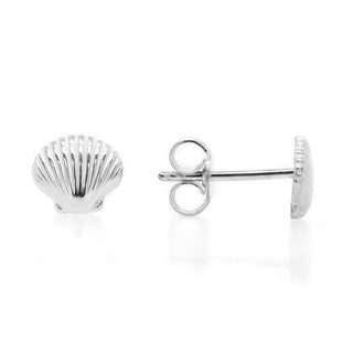 Seashell Stud Earrings in Sterling Silver by World Treasure Designs