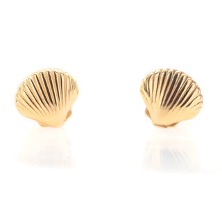 Seashell Stud Earrings in Yellow Gold by World Treasure Designs
