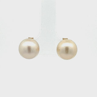 Marie | Australian South Sea Pearl Stud Earrings
