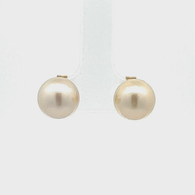Marie | Australian South Sea Pearl Stud Earrings