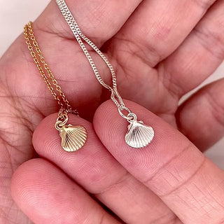 Tiny Seashell Necklace