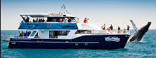 Tasman Venture