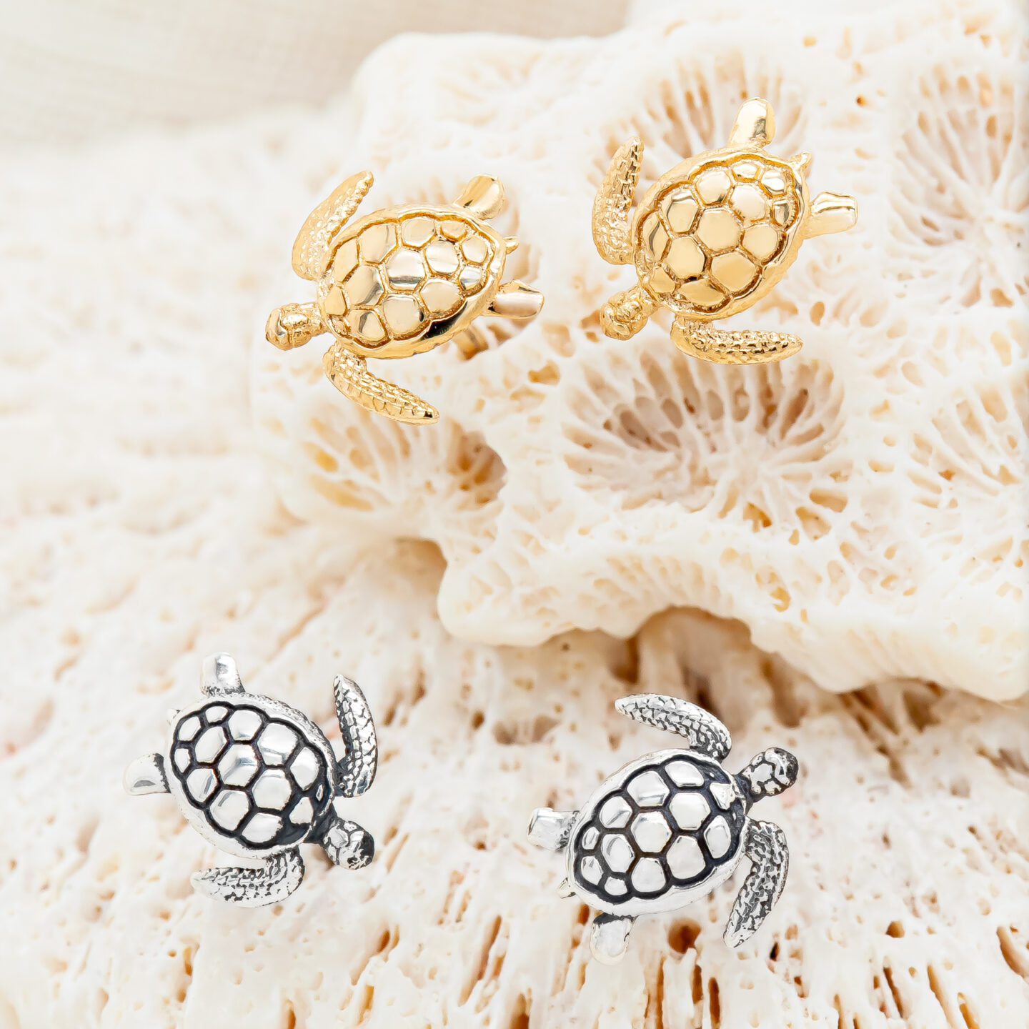 Sea Turtle Stud Earrings | World Treasure