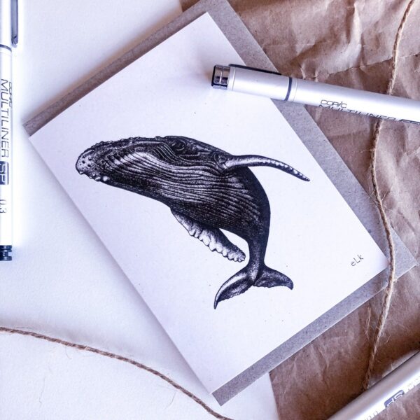 Humpback Whale Spyhop hand drawn on recycled paper by ELK Draws
