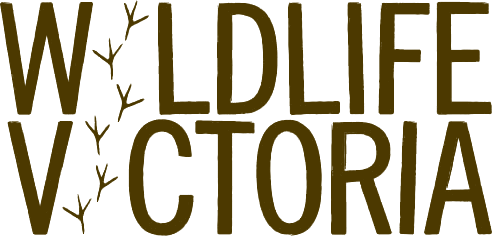 Wildlife Victoria logo