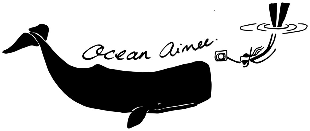 Ocean Aimee logo