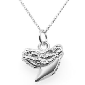 Silver Shark Tooth Necklace Tiger Shark Tooth by World Treasure Designs