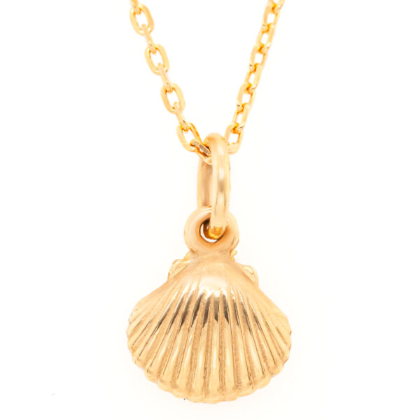 Gold Seashell Necklace Ocean Jewellery by World Treasure Designs