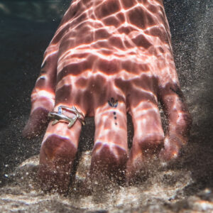 Hammerhead Shark Ring in Sterling Silver by World Treasure Designs