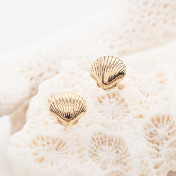 Seashell Stud Earrings in Yellow Gold by World Treasure Designs