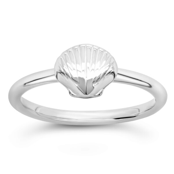 Seashell Ring in Sterling Silver by World Treasure Designs