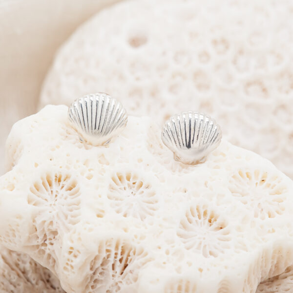 Seashell Studs in Sterling Silver by World Treasure Designs